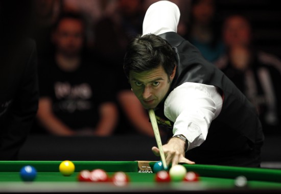 的观赏性和 的观赏性和