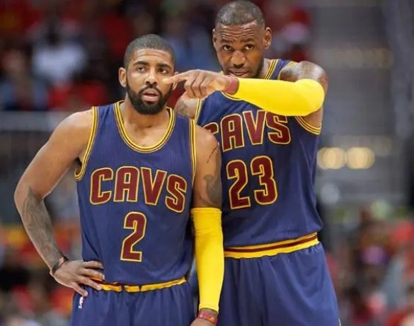 数据指标可 数据指标可